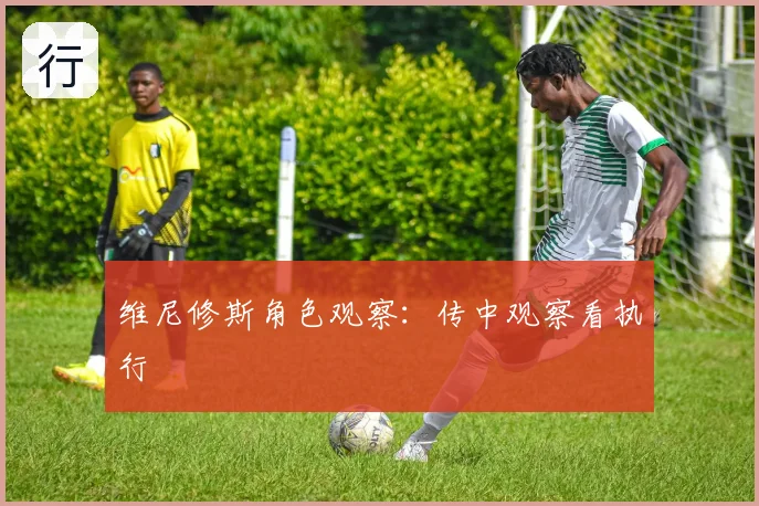 维尼修斯角色观察:传中观察看执行